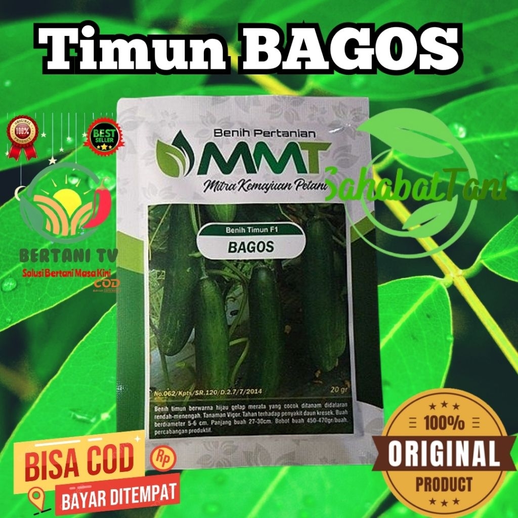 Timun bagos 20 gr, Beli Benih Timun F1 BAGOS MMT SEED 20 Gram - Bibit Timun BAGOS BAGUS Ketimun Ment