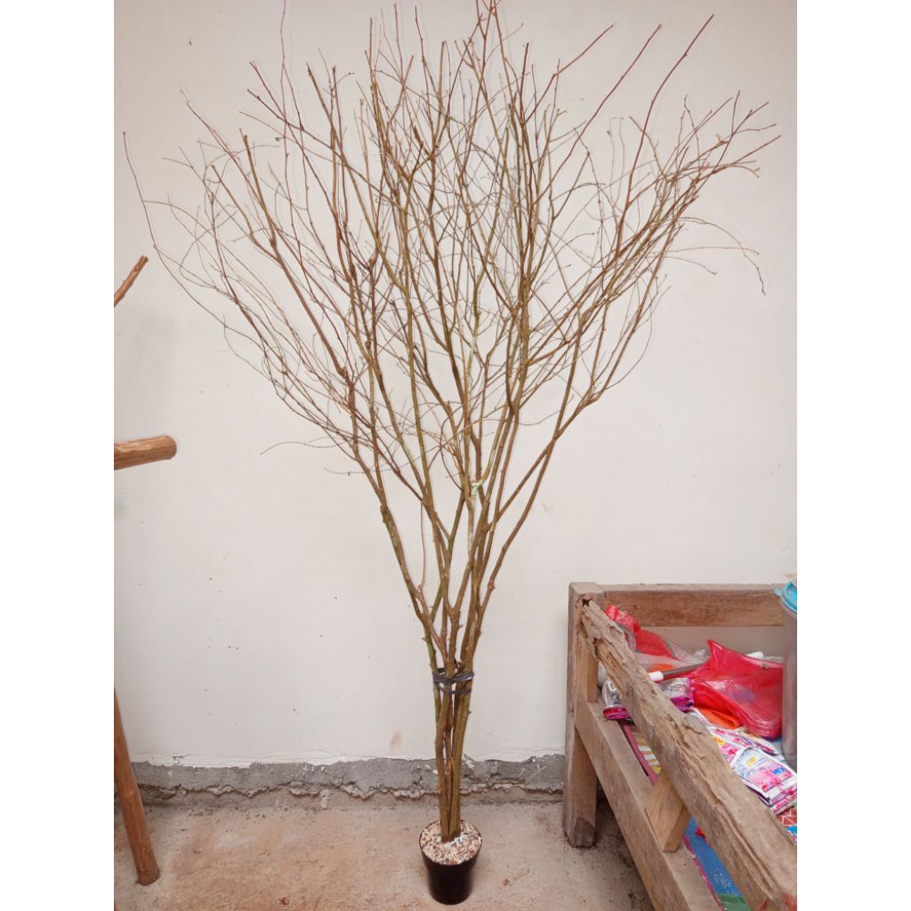 Ranting pohon kayu bercabang dekorasi  Natal batang kayu keras Ranting artificial