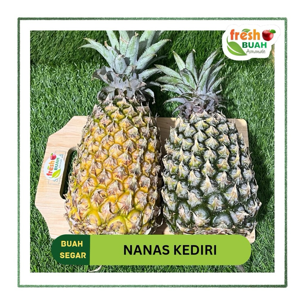 

Buah Nanas Kediri | Fresh Buah Amanah