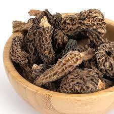 

100 gram Jamur Morchella - Dried Morels - Morchella Mushroom - Yang Tu Jun - Jamur Spons