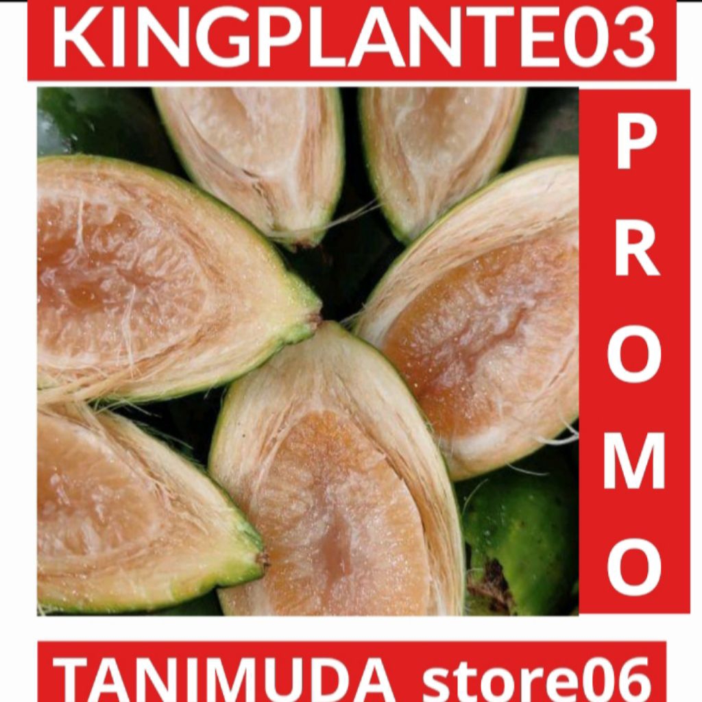 

BUAH PINANG MUDA FRESH 1KG BUAH JAME BUAH JEBUG BERSIH DI AMBIL KETIKA ADA ORDERAN BISA COD