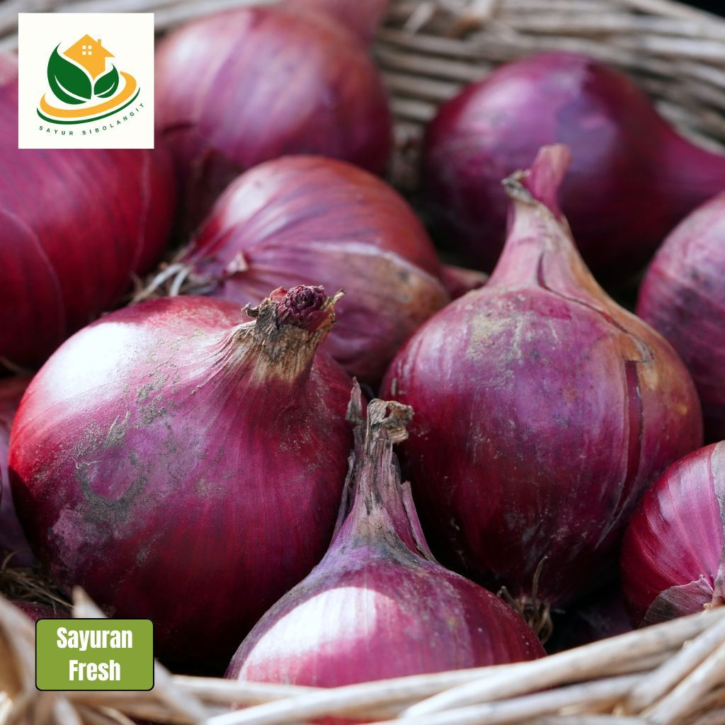 

Bawang Merah Bersih Segar - Sayur Online Medan - Bawang Merah