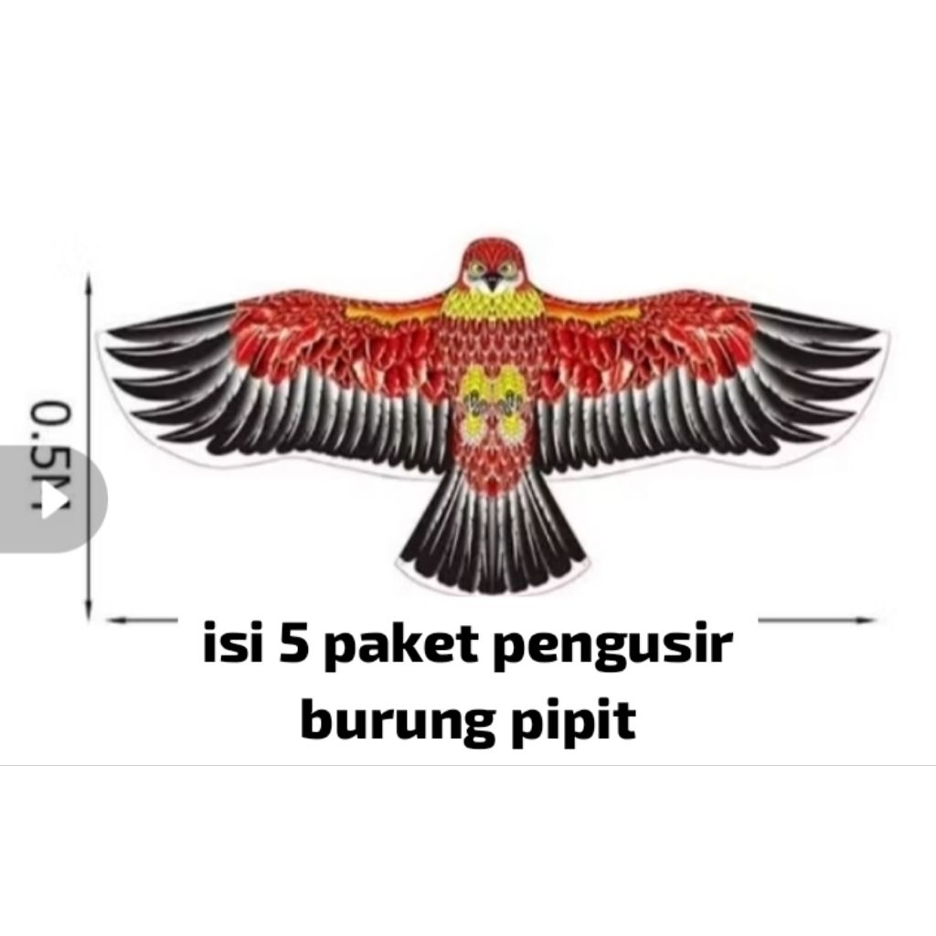 layang layang elang bisa terbang tinggi ke angkasa 1,2M sama 1,7M