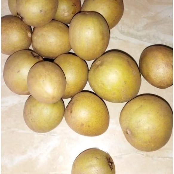 

Paket 2kg sawo madu mengkal tua manis segar fresh asli petani
