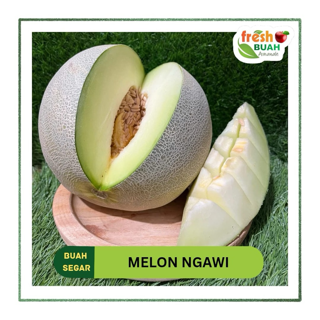 

Buah Melon Ngawi | Fresh Buah Amanah