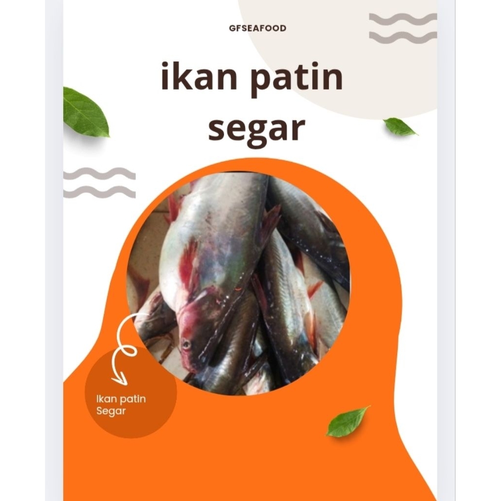 

Ikan Patin Segar 1000g (BUKAN FROZEN)