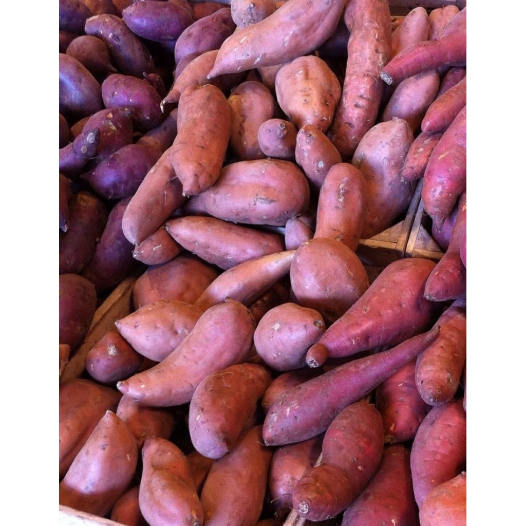 

Ubi Ungu 1kg Mentah Fresh