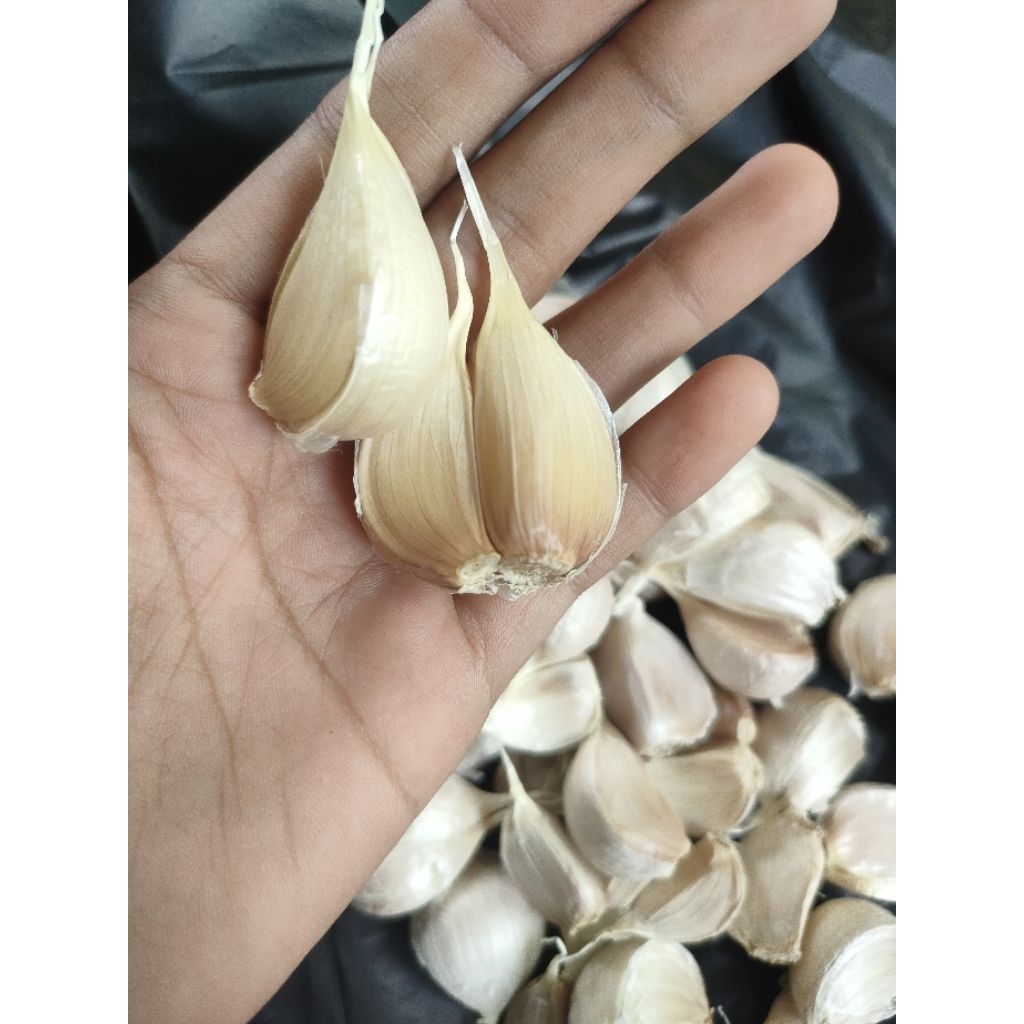 BAWANG PUTIH KATING 1KG