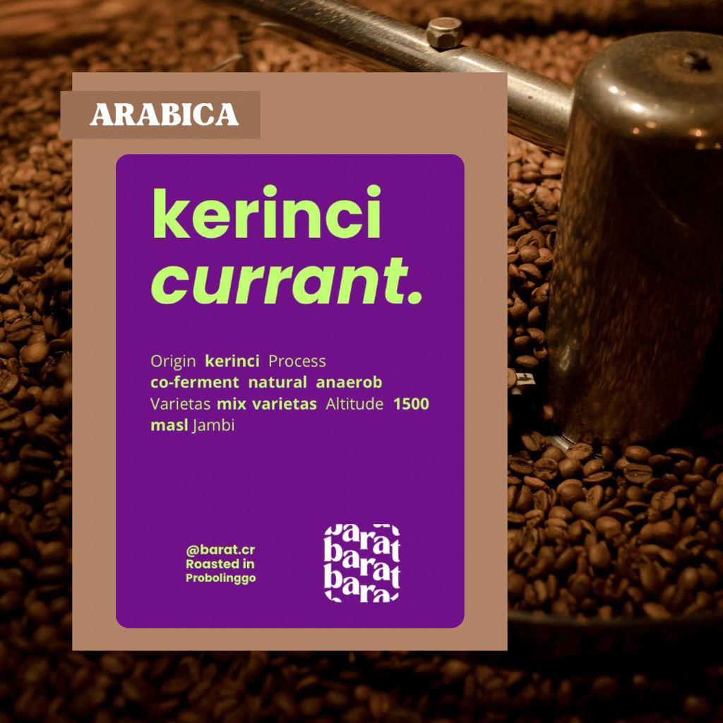 

Arabica Kerinci blackcurrant natural anaerob - biji kopi atau bubuk kopi