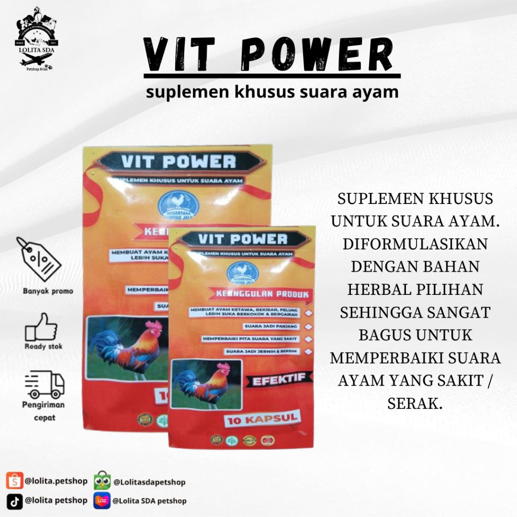 JUAL AYAM PELUNG BEKISAR KETAWA 1 SACHET SAWUNG JALU VITAMIN JAMU HERBAL AYAM KETAWA BEKISAR AYAM PE