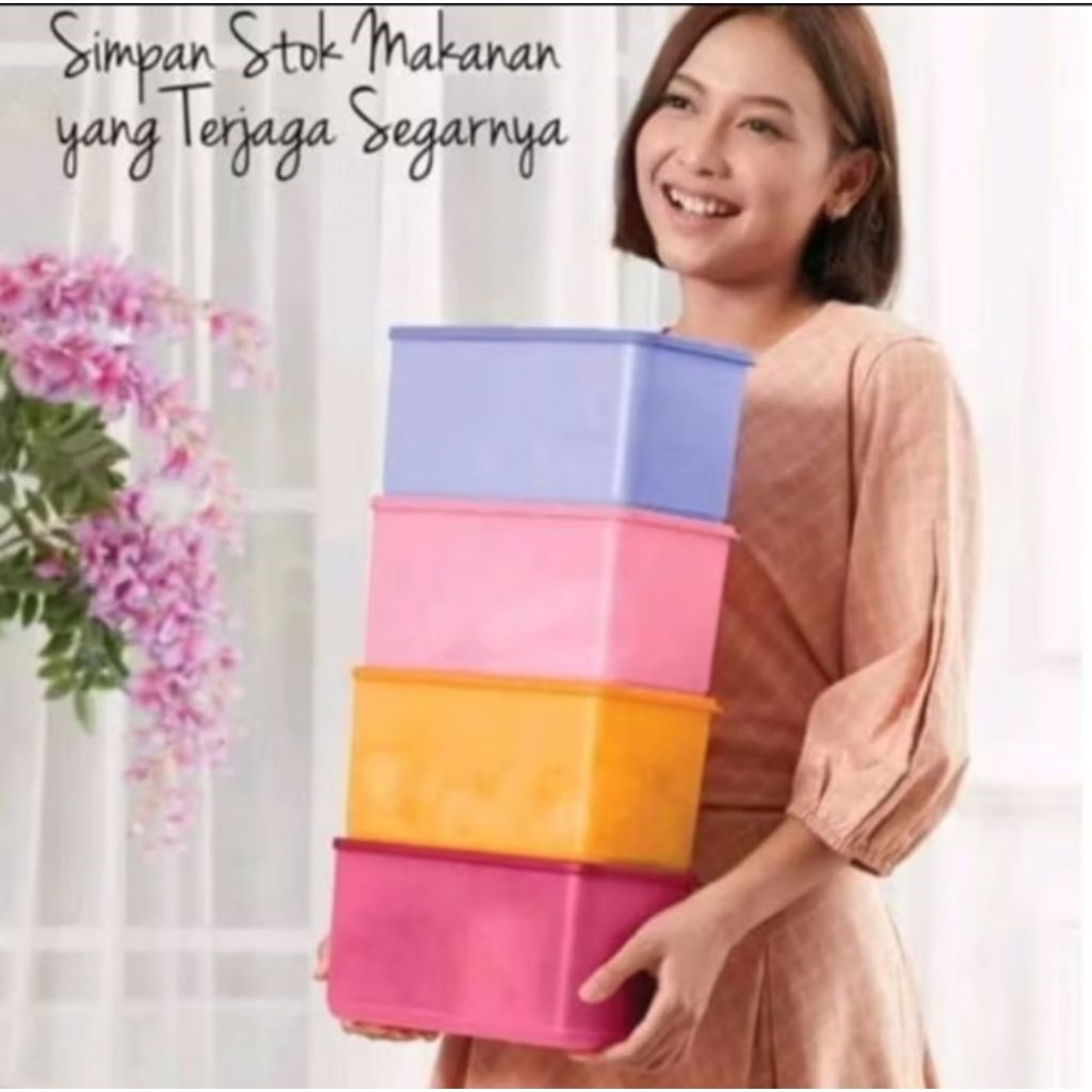 Tupperware Kontener Kulkas dan Freezer Funtastic Four 3.1 Liter PROMO MURAH Original