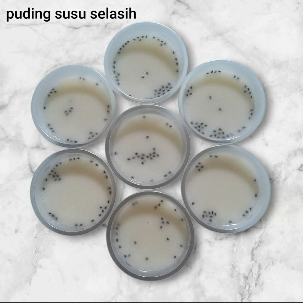 

PUDING SUSU SELASIH