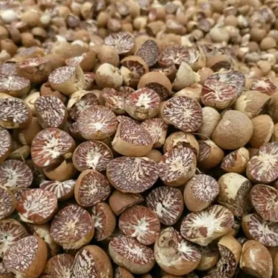 

Buah pinang kupas tua Jambe / buah pinang belah dua 500/1000gr buruan CO dijamin ory