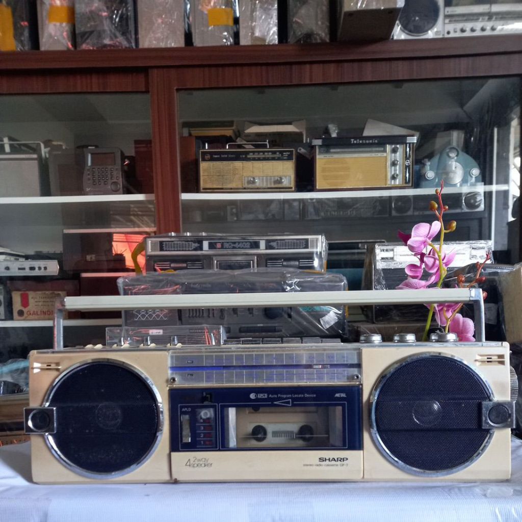 Radio sharp GF7