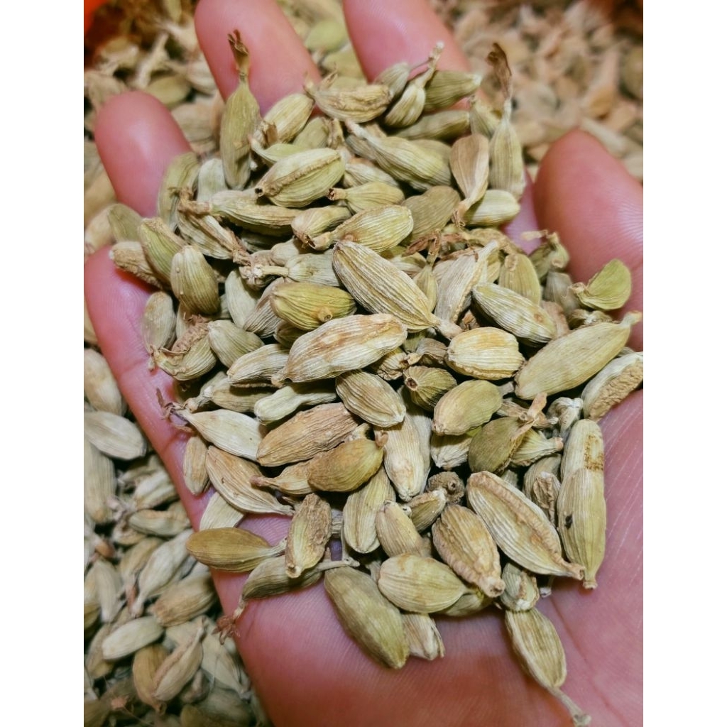 

100 gr SUPER KAPOLAGA INDIA/ KAPOLAGA HIJAU/CARDAMOM
