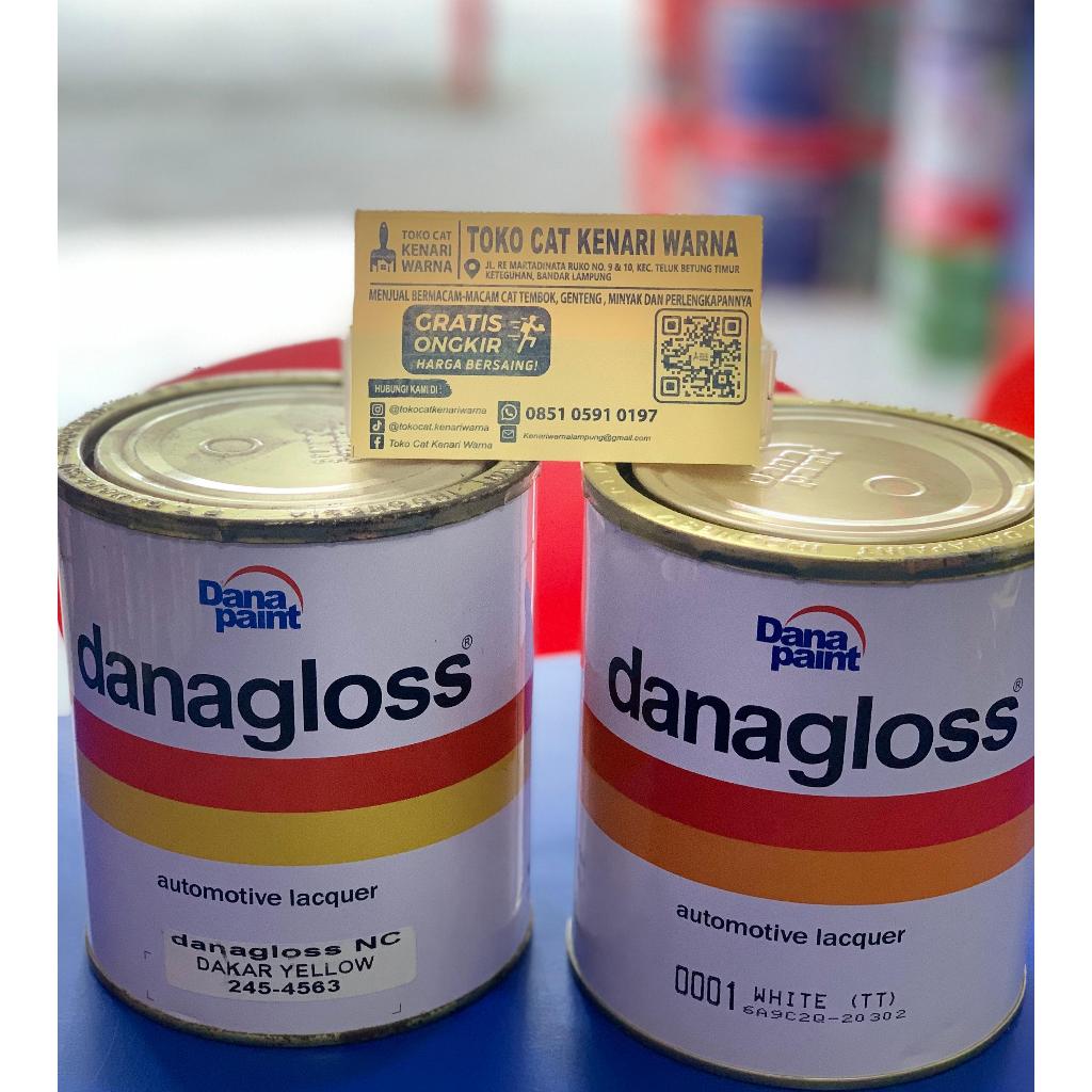 DANA GLOSS CAT DUCO- 1 KG