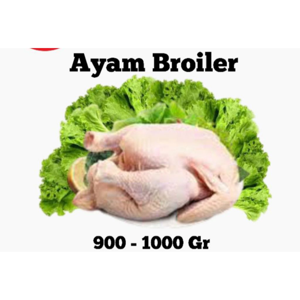 

Ayam utuh 900-1000 gram