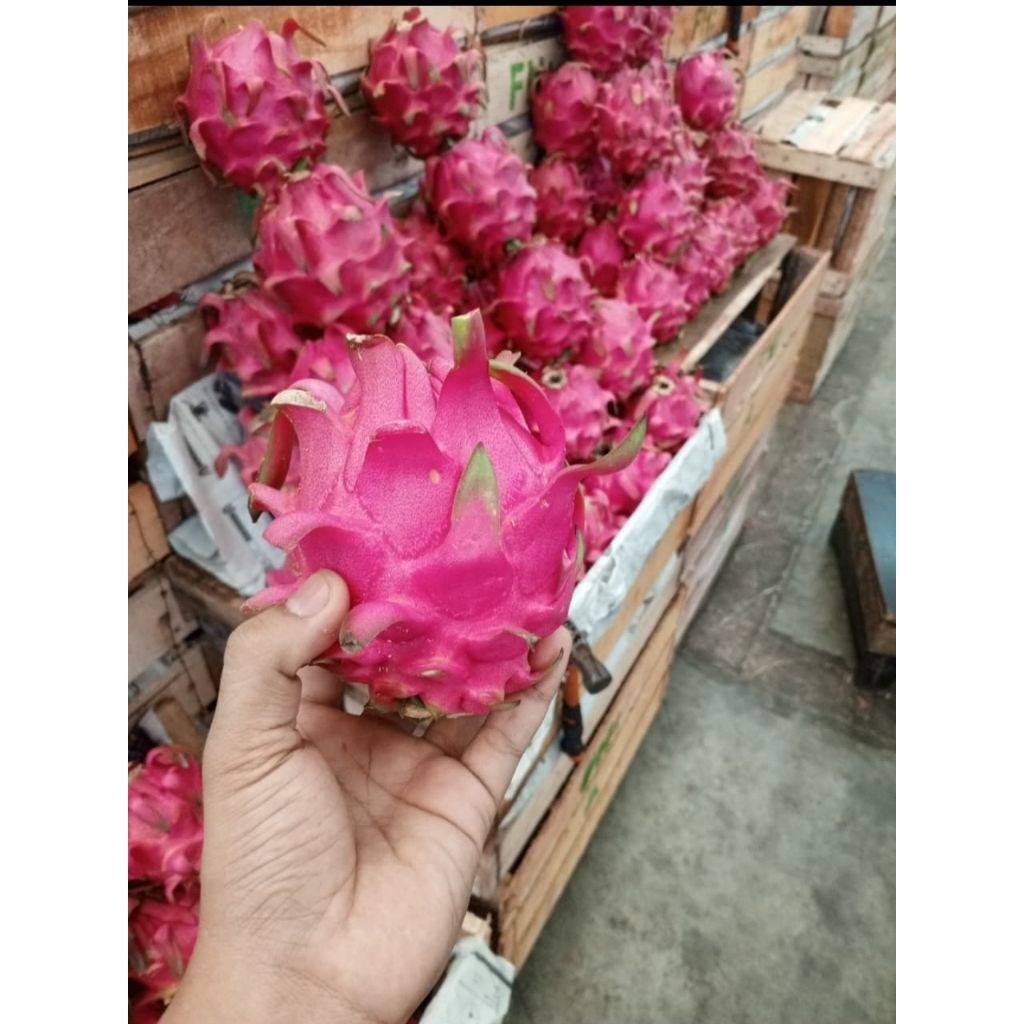 

*Buah Naga Segar 20 KG (1 PETI) MURAH*