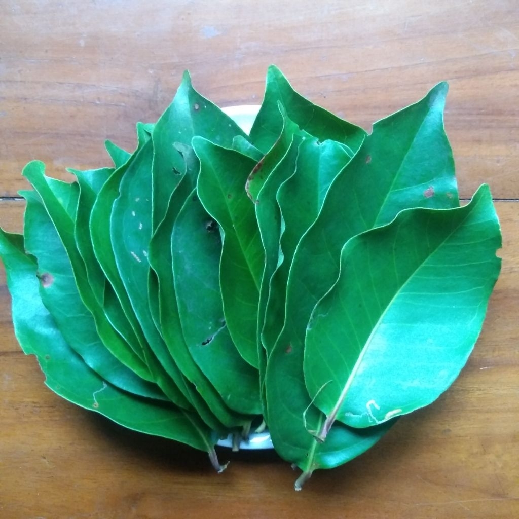 

Daun Salam Segar 1 Kg
