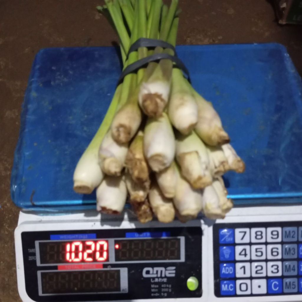 

SEREH JUMBO BUMBU MASAK