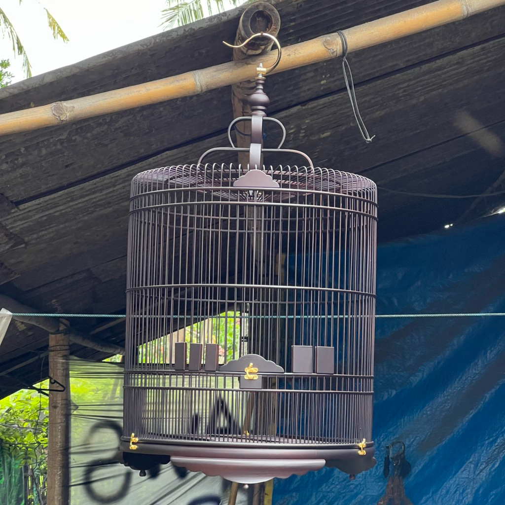 sangkar burung cungkok
