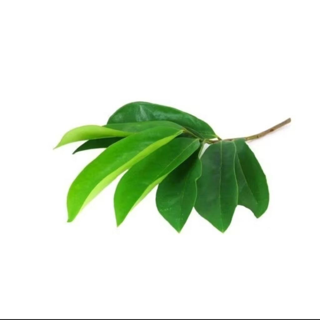 

Daun sirsak segar 100 lembar