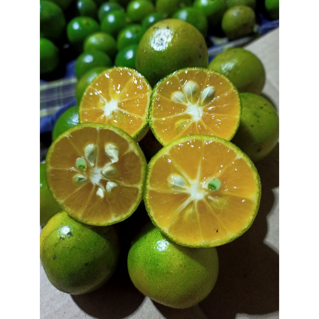 

10KG.JERUK SONKIT/JERUK KASTURI/JERUK KUNCI/JERUK LEMON CUI/JERUK KALAMANSI/JERUK KΙΕΤΝΑ.
