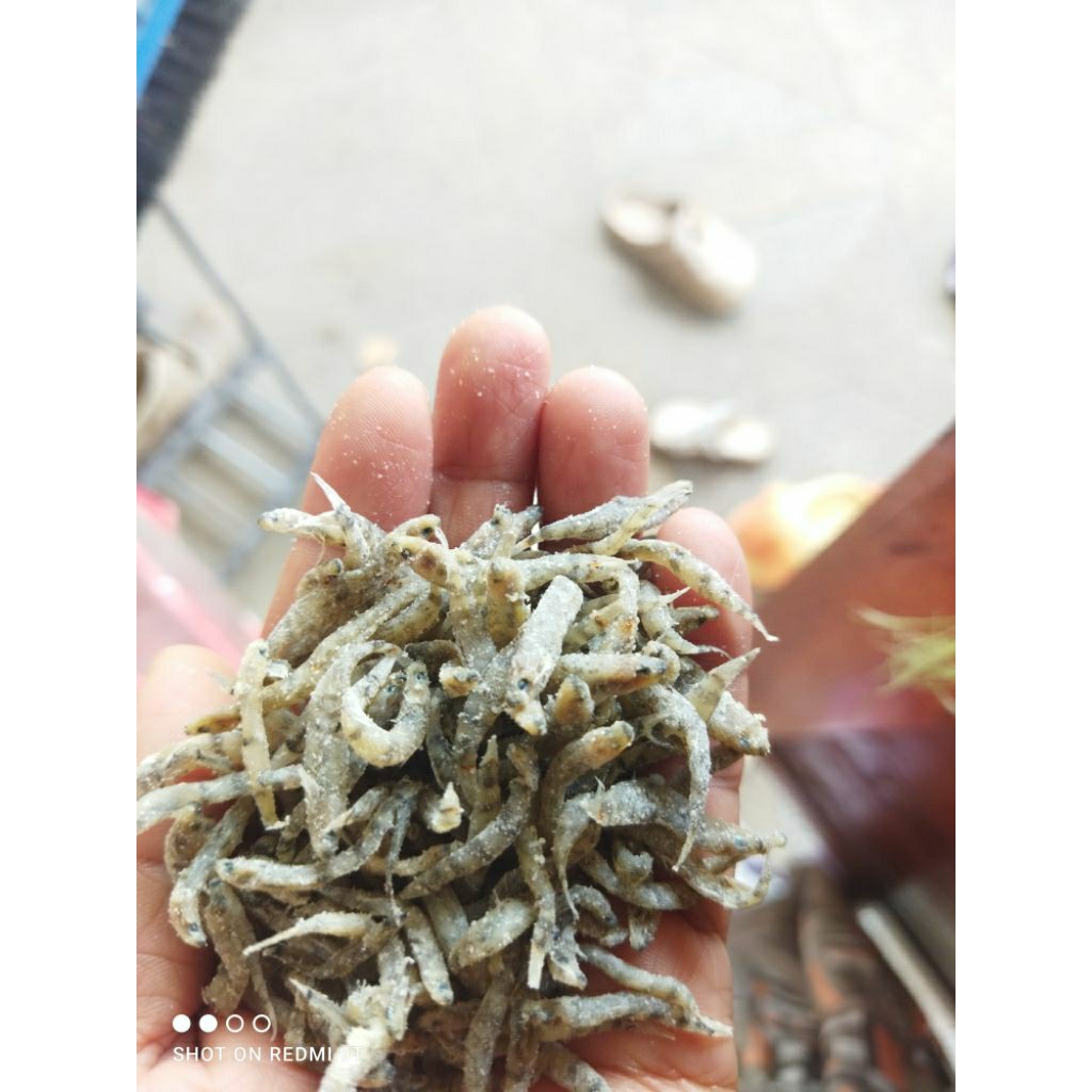 

Ikan Penja kering Putih ukuran sedang