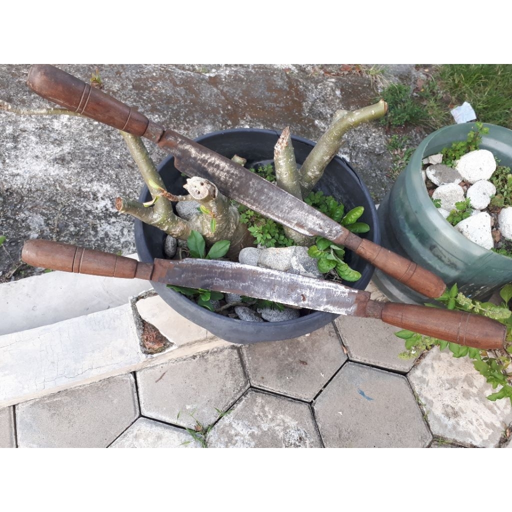 golok kupas kulit kayu bambu