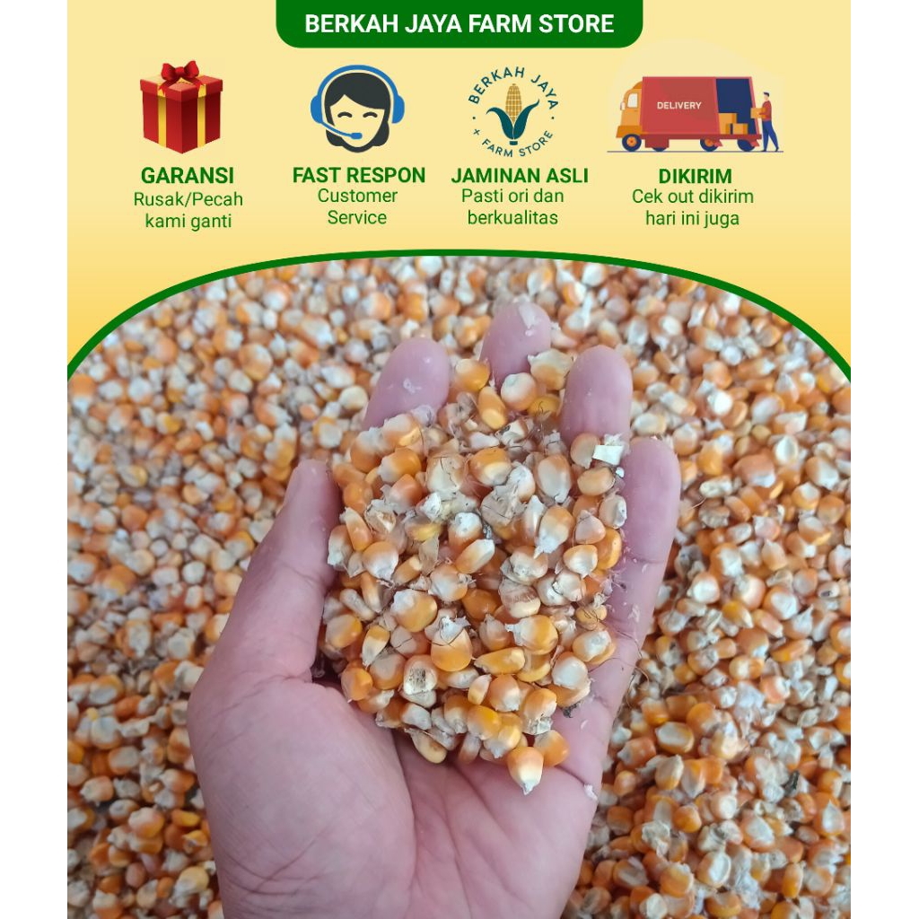 

TERMURAH jagung kering tanggung 750 gram repack jagung selep berkah jaya farm pakan merpati ayam dan unggas