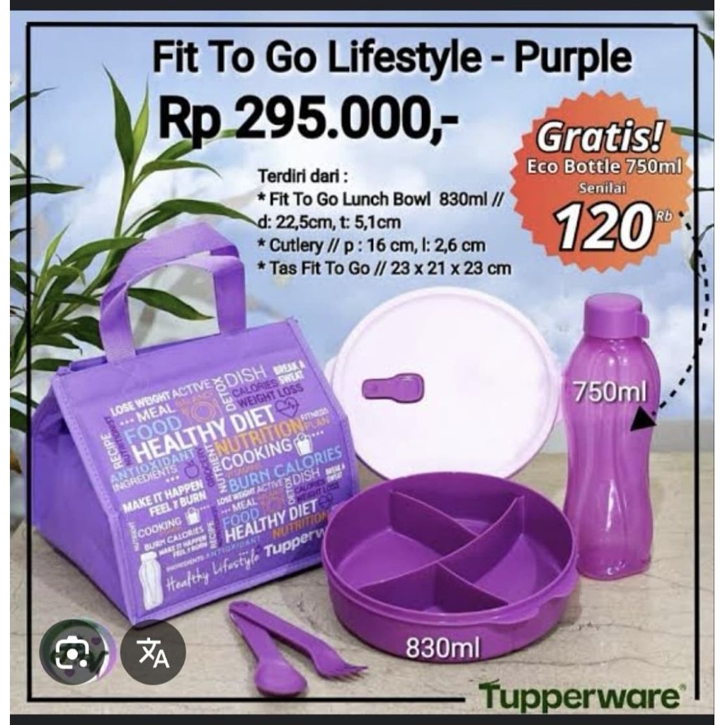 Fit To Go Tupperware wadah bekal ungu/purple/orange