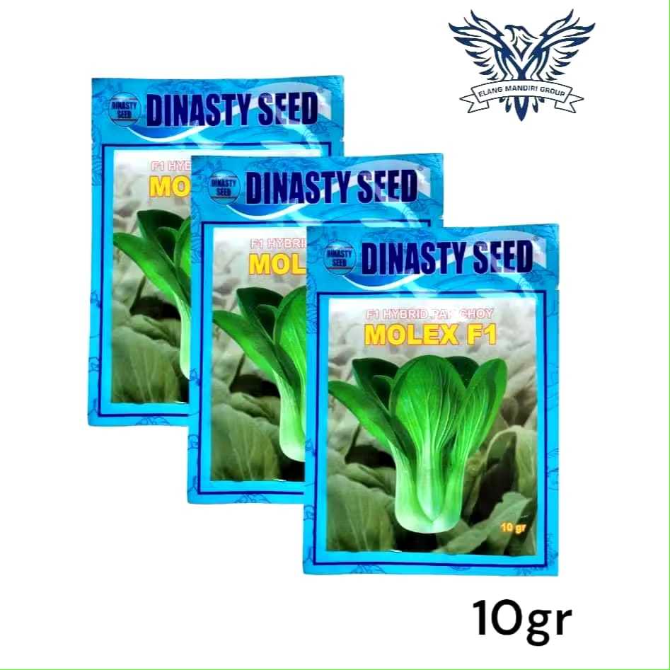 Molex 10gr Benih Pakcoy dinasty seed