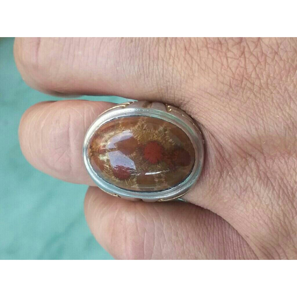 batu karang teratai laut lawas