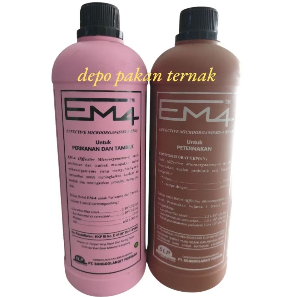 em4 ikan dan ternak bakteri starter
