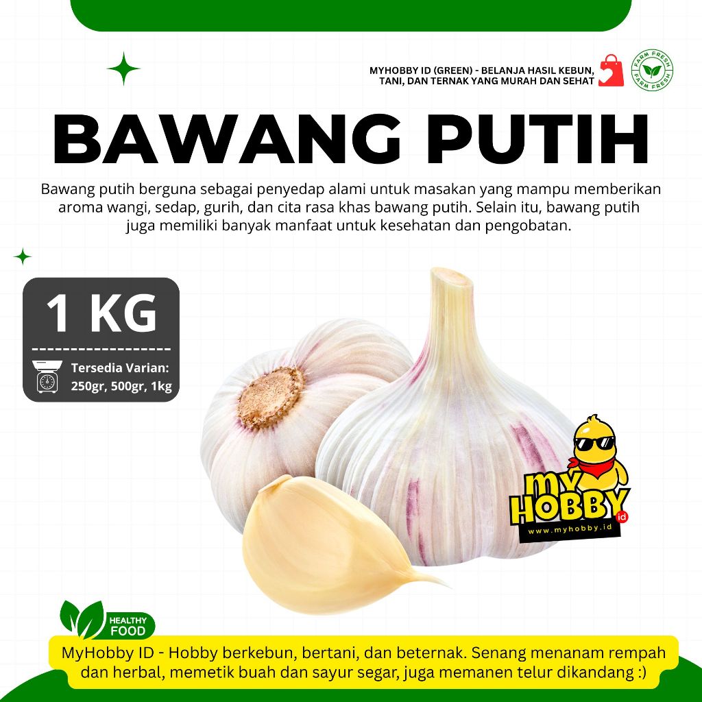 

Bawang Putih Segar! Bagus & Murah. Garlic Baput Bumbu Masak Aroma Wangi & Sedap Asli dari MyHobby ID
