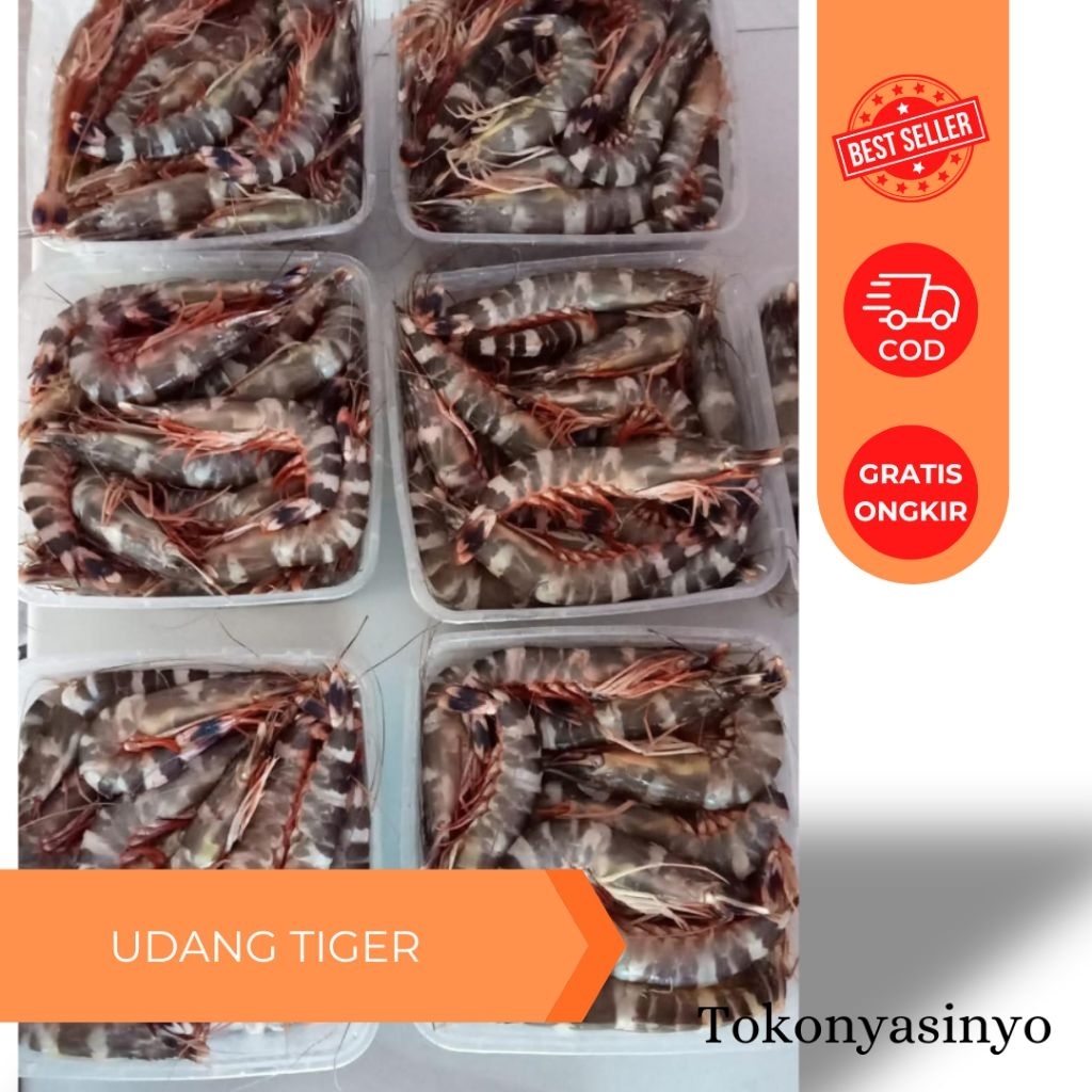 

UDANG TIGER SIZE 50 1KG - KEMASAN BOX
