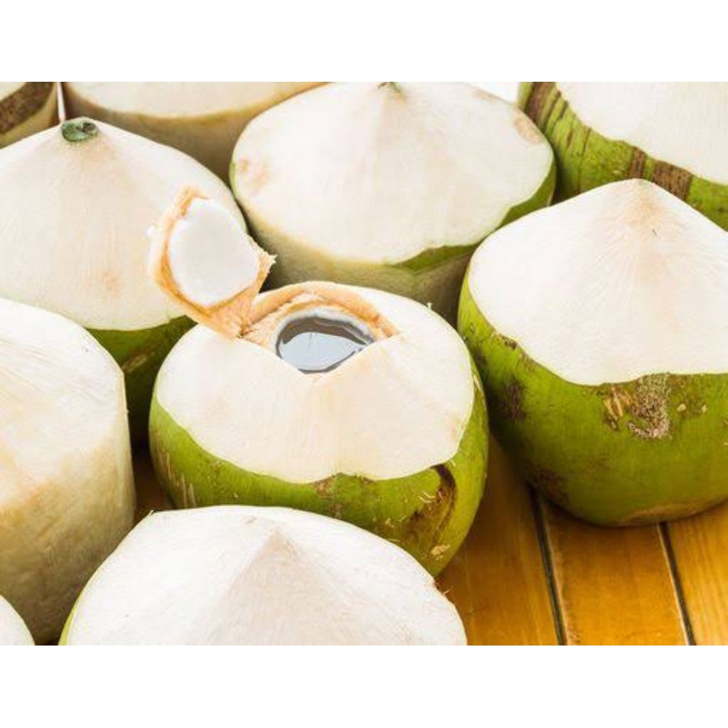 

kelapa hijau segar 1 buah