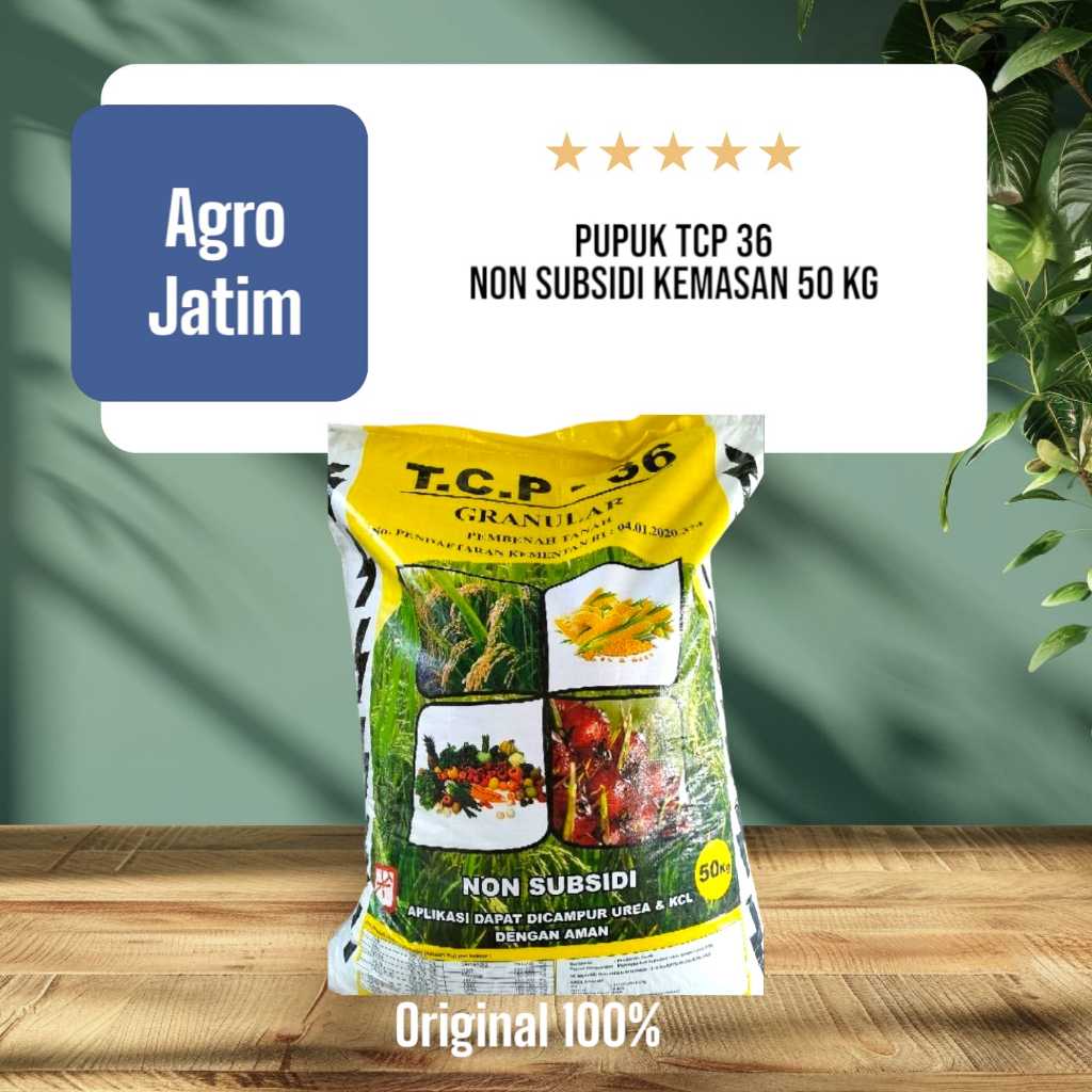 Pupuk TCP 36 (Seperti SP-36) 1 Sak - 50 KG