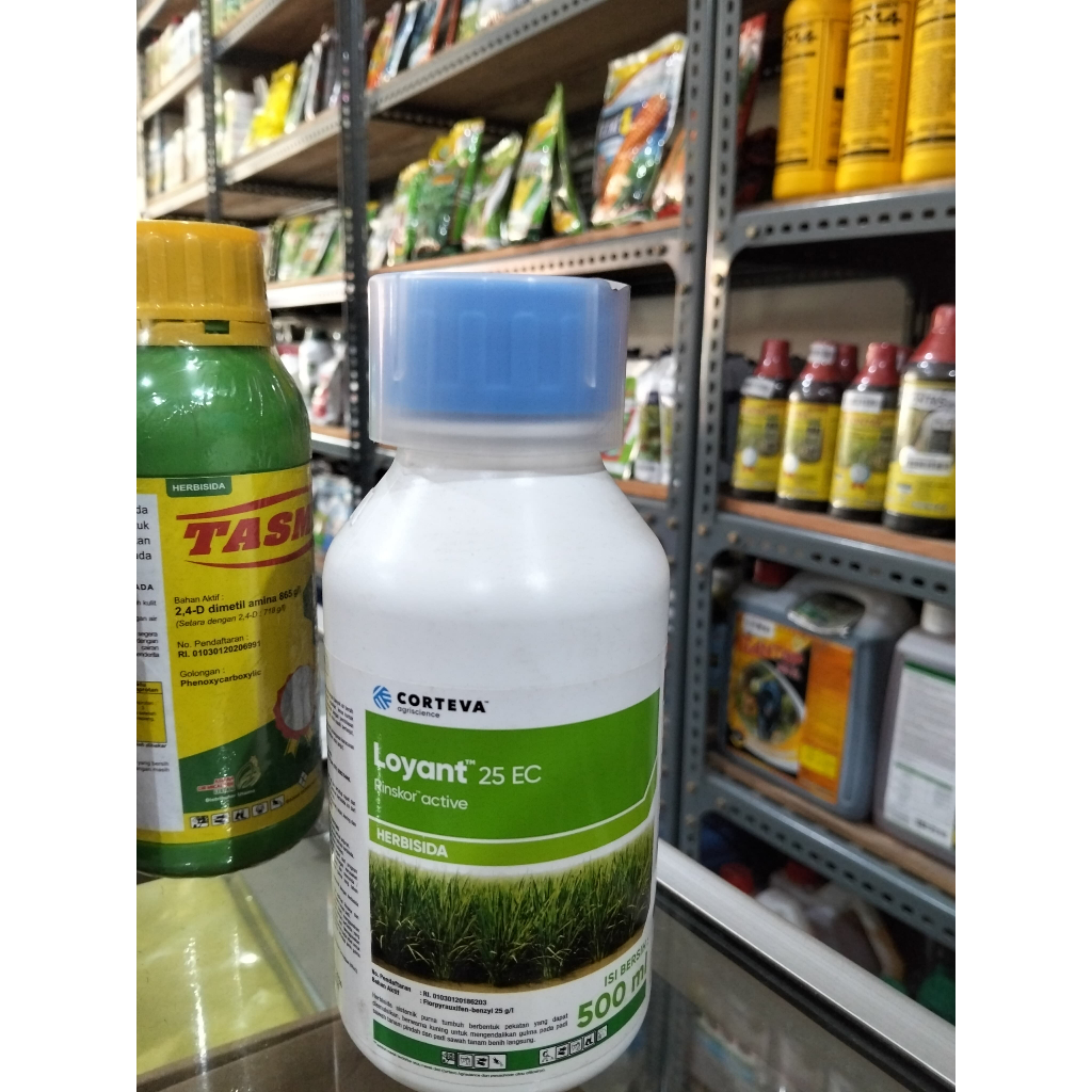 Herbisida Pengendali Gulma untuk Padi LOYANT 25EC Isi Kemasan 500ml dari Corteva