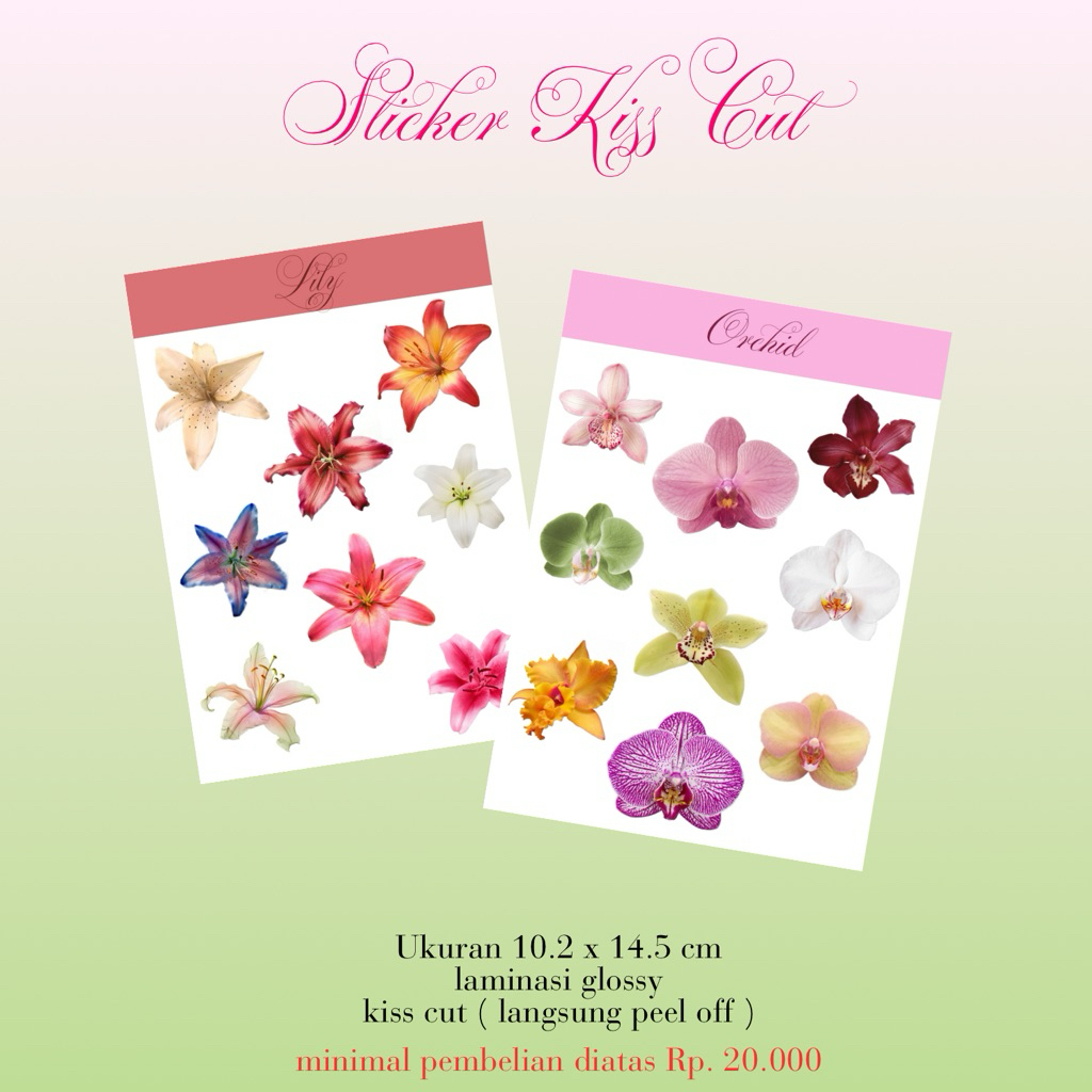 

sticker peel off aesthetic orchid dan lily