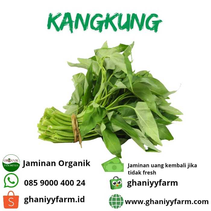 

Sayur Organik Kangkung Organik 250 Gram