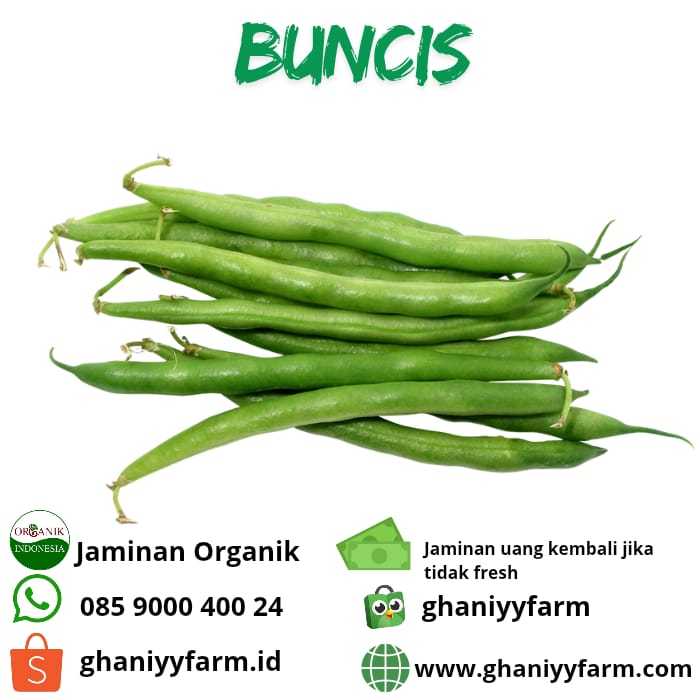 

Sayur Organik Buncis Organik 250 Gram
