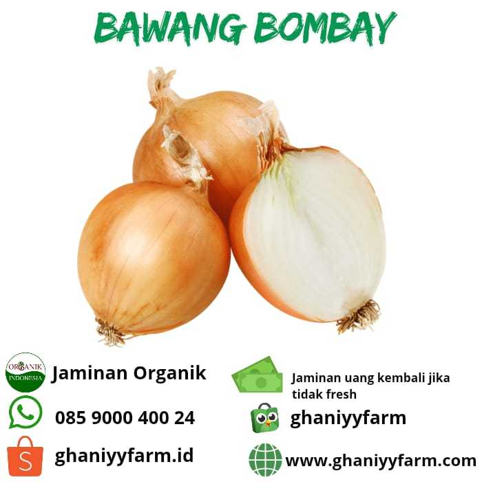 

Bawang Bombay Organik 500Gram