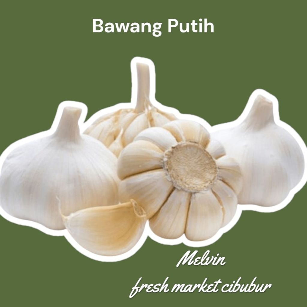 

Bawang Putih Besar Berat Honan 1 kg 500 gram impor Premium GARLIC