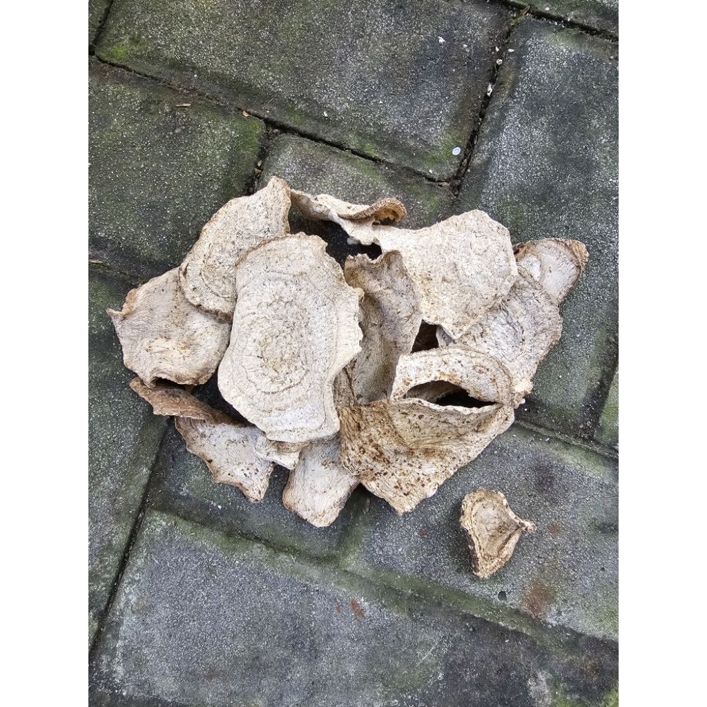 

Bidara Upas Kering 500 gram