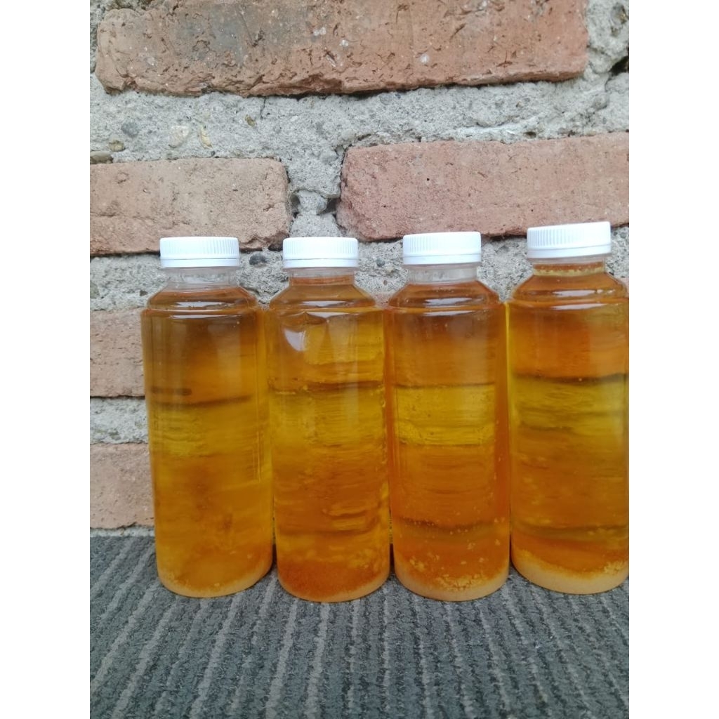 minyak biawak 250 mili original