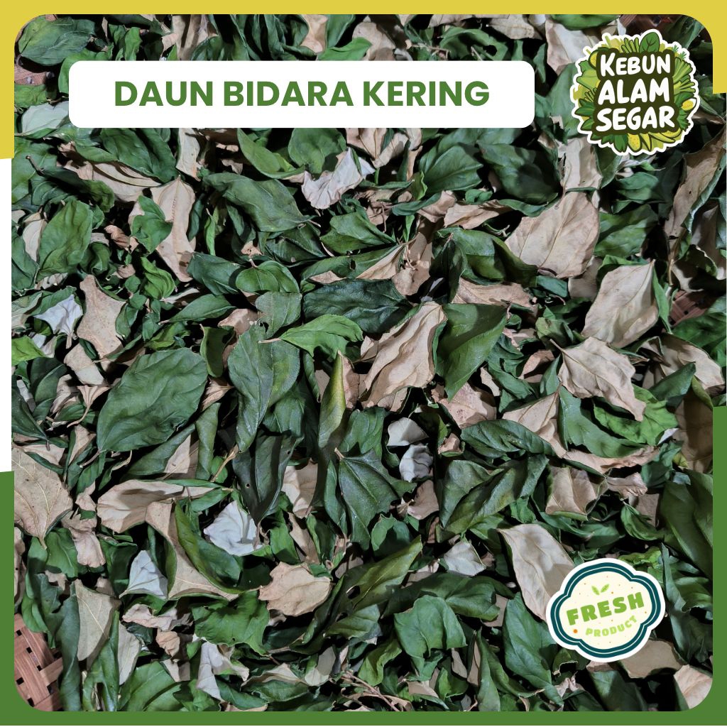 

DAUN BIDARA KERING - HERBAL