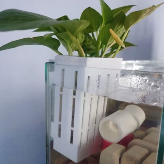 Bosplant - Pot Tanaman Aquarium Pot Tanaman Atas Aquarium