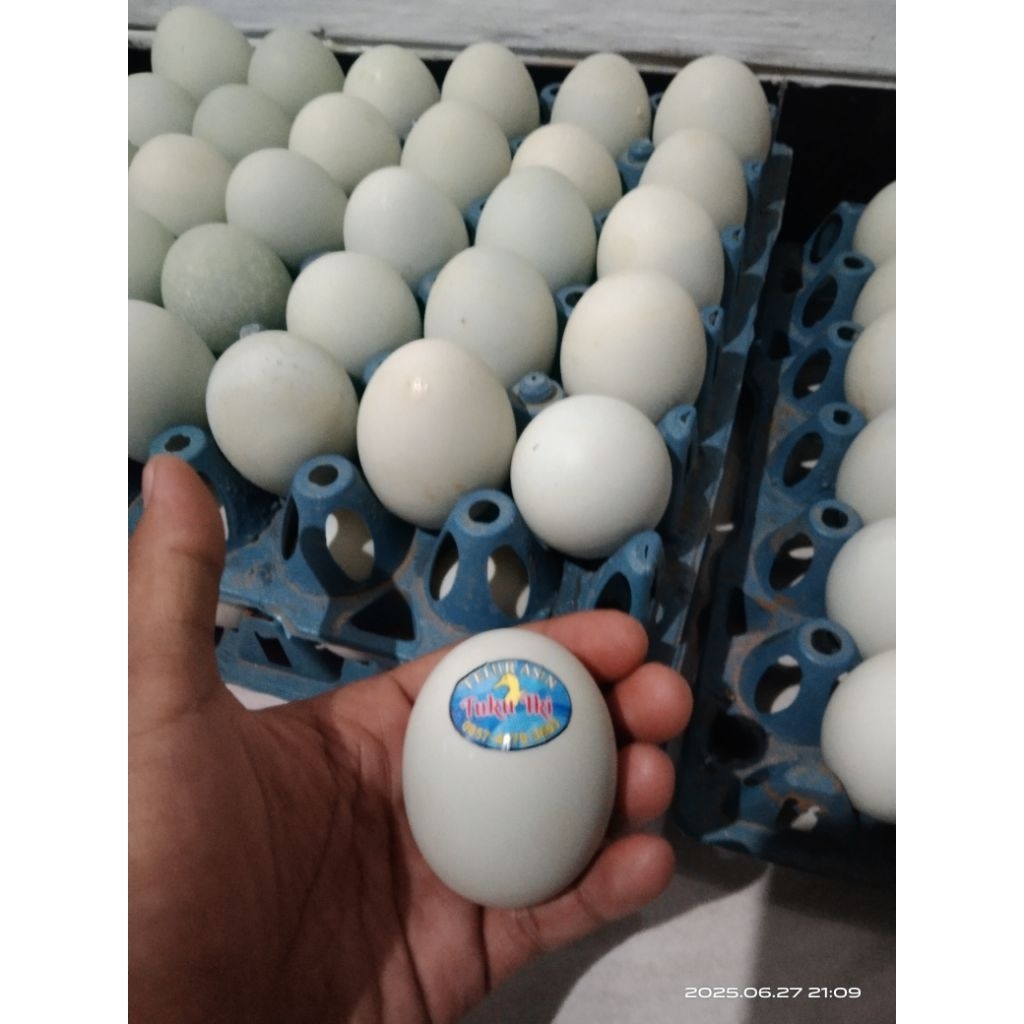 

telur asin 1 butir /3.500