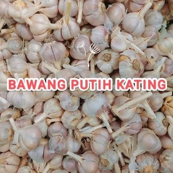 

BAWANG PUTIH KATING | 1KG | Bersih | Pasti Ready